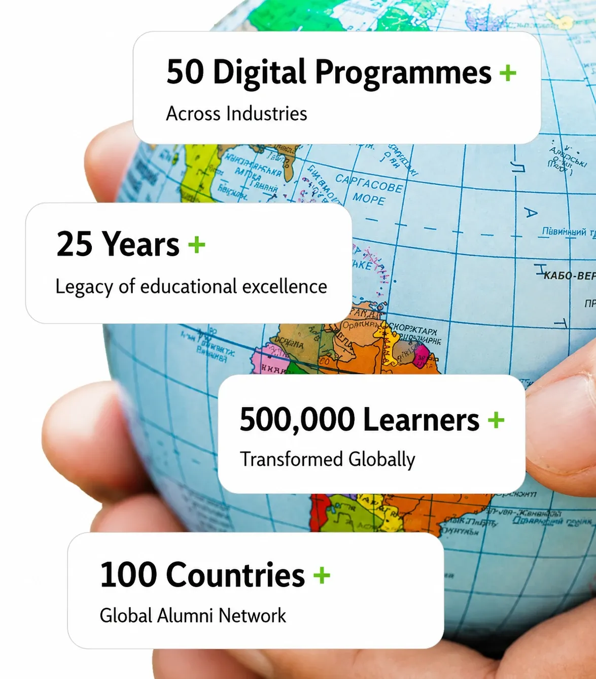 Global network with growth statistics